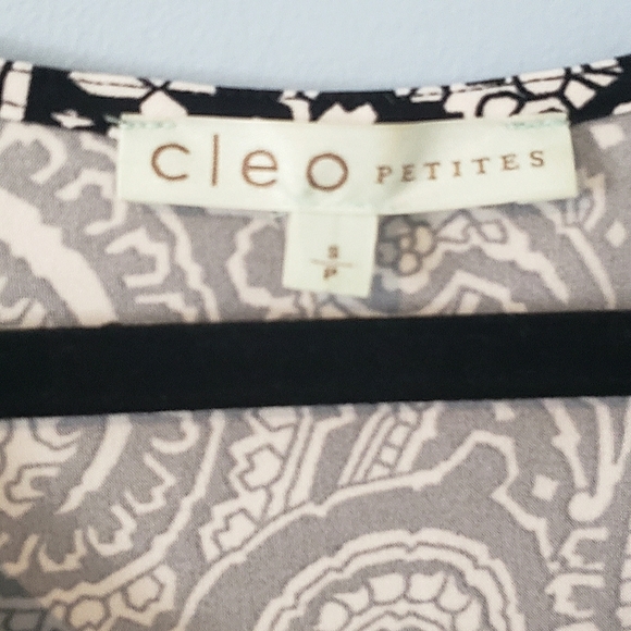 Cleo. Petites. Black & White. Paisley Pattern Dress. - Picture 4 of 5